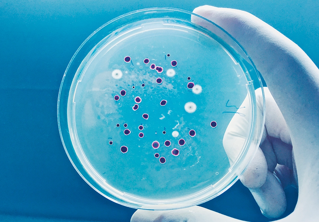 Quand les bactéries résistent aux antibiotiques